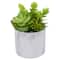 6.5" Green Succulent Arrangement in Faux Marble Pot